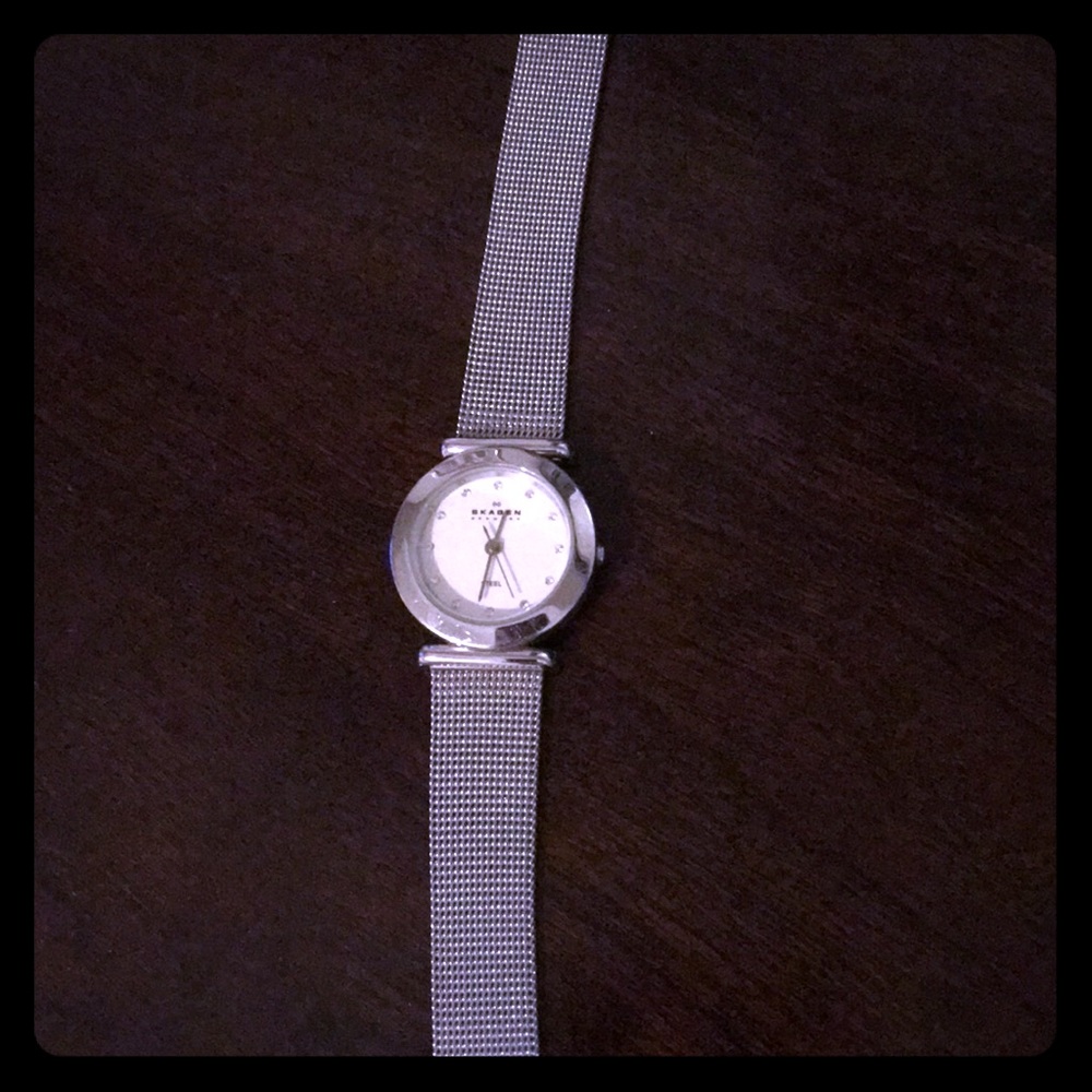 Skagen stainless steel band watch
